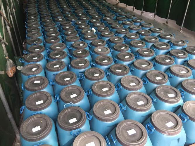 河南fyt-1桥面防水材料厂家-送检资料齐全 - 德西尼 - 九正