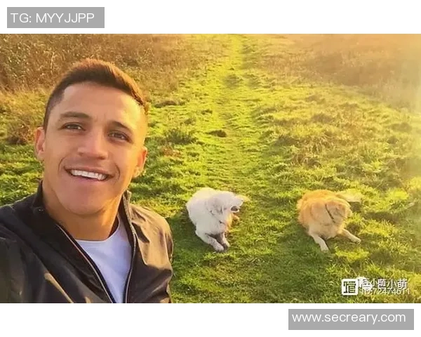 汪星人足球明星的精彩瞬间与背后的感人故事 汪星人足球明星的精彩瞬间与背后的感人故事