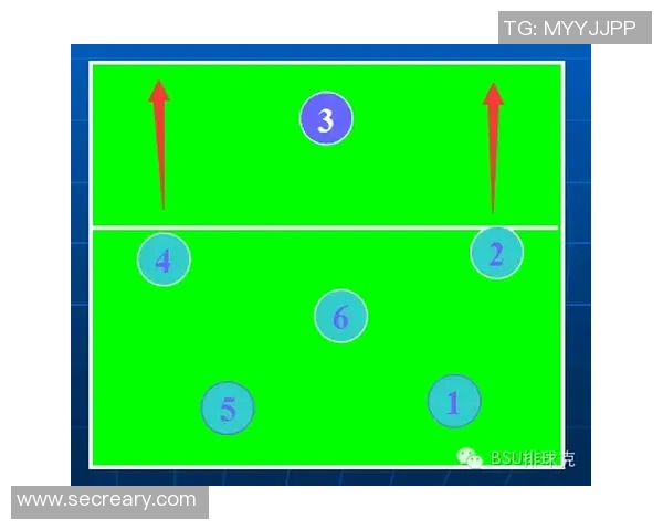 广州排球队配合细节解析与战术对比全面分析