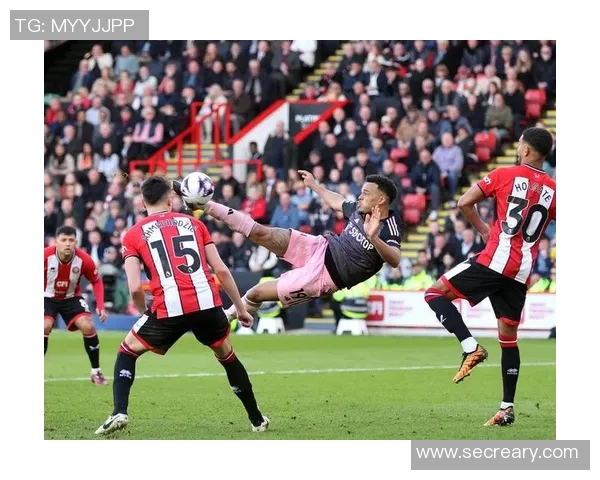 桑巴足球精灵的传奇之路与世界足坛的辉煌成就探秘