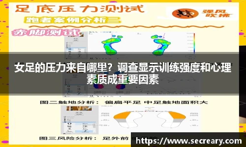 彩神VI首页官网