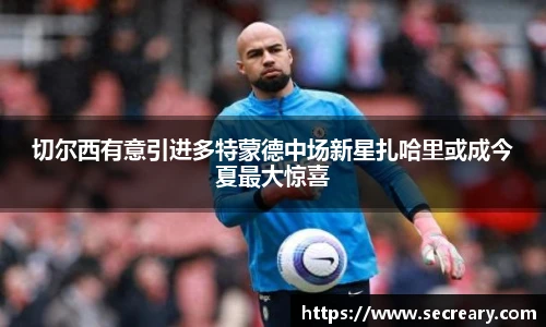 切尔西有意引进多特蒙德中场新星扎哈里或成今夏最大惊喜