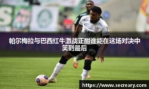 帕尔梅拉与巴西红牛激战正酣谁能在这场对决中笑到最后