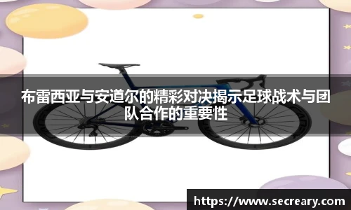 彩神VI首页